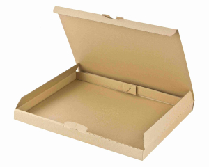 Versandkarton 310x225x30mm schnelle Aufrichtung Steckverschluss Maxibrief DHL briefkastentauglich Höhe 3cm A4 braun
